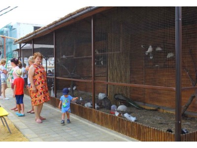 Пансионат Фея-2,  для детей: площадка, мини-зоопарк